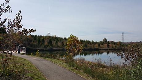 A walking path next to a pond