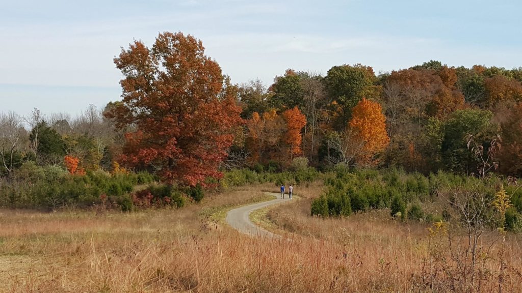 Turkey Run Park The Parklands of Floyds Fork