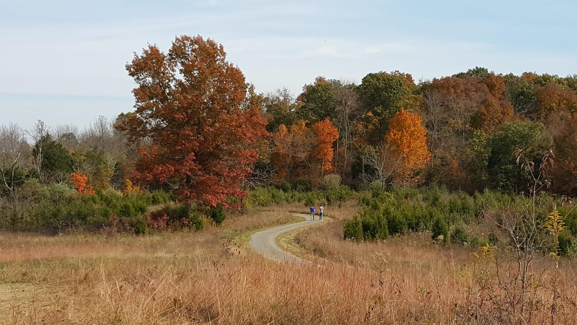 Sky Meadow Excursion Trail | The Parklands of Floyds Fork