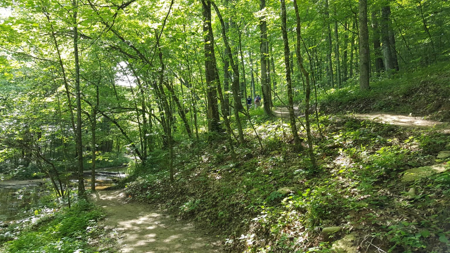 Turkey Run Park The Parklands of Floyds Fork