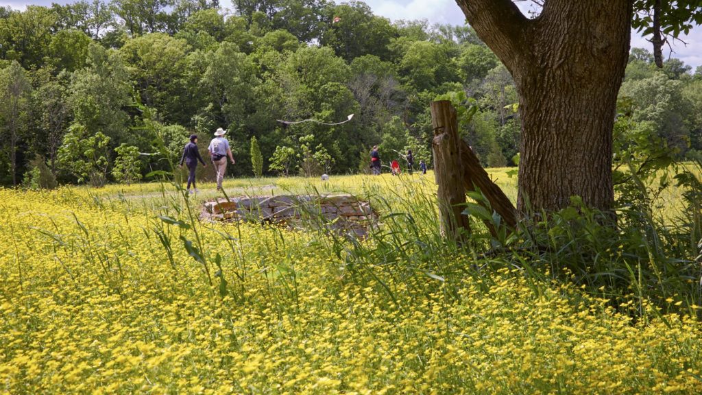 People stroll through Broad Run Park
