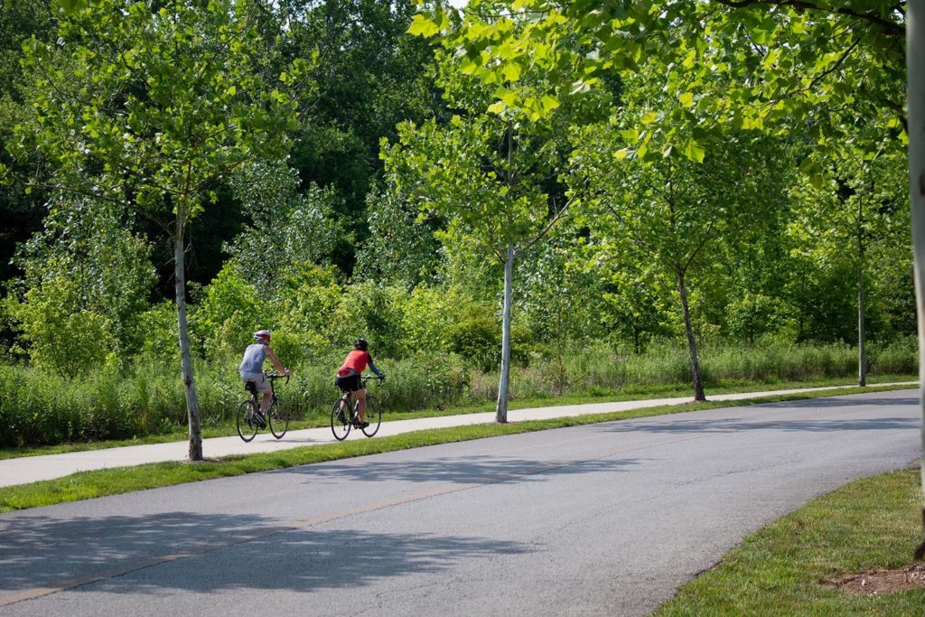 Bicyclists enjoy a sunny day