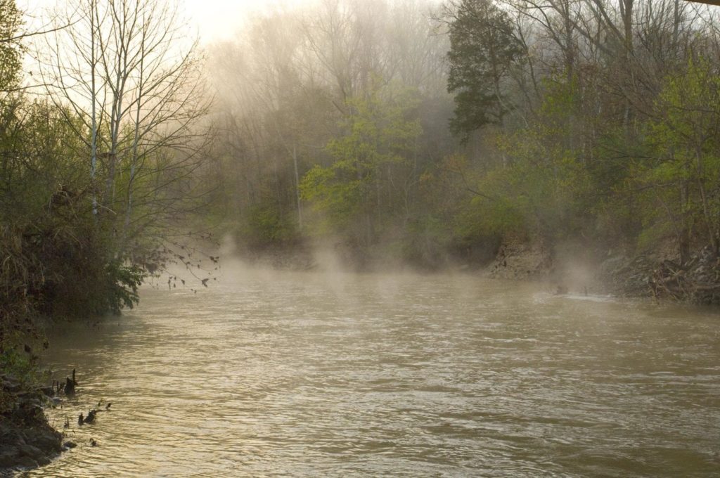 Fog hovers over a river