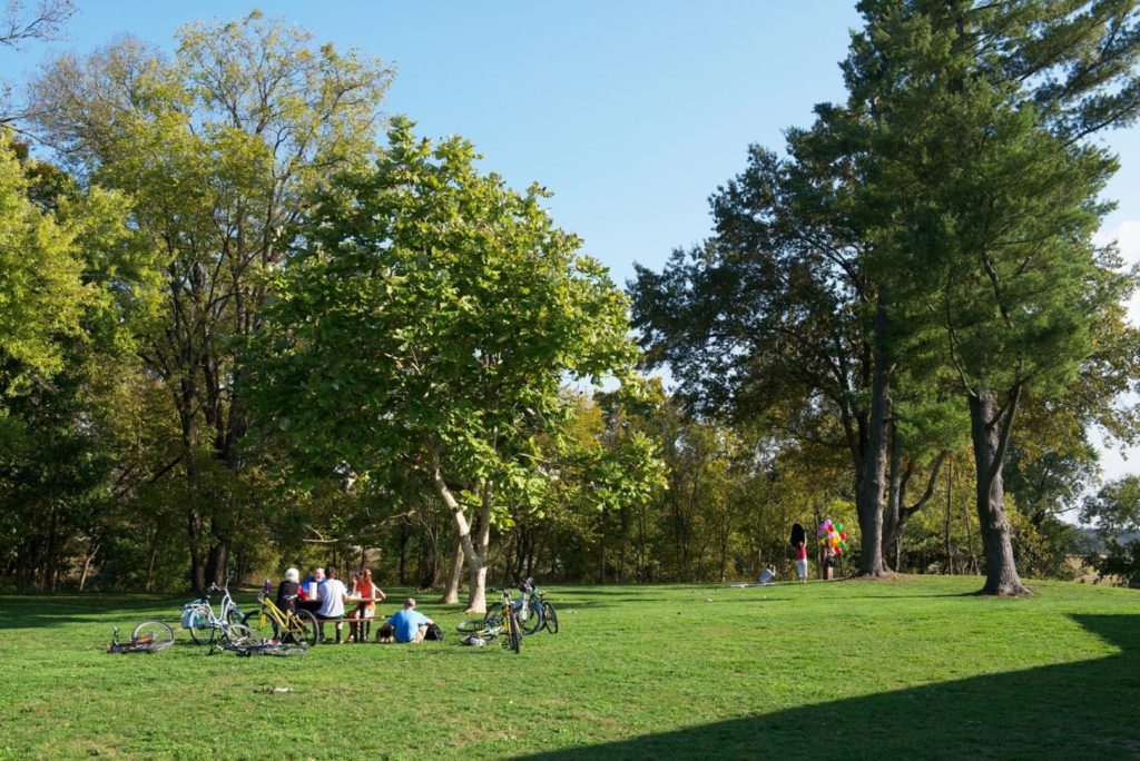 People gather at a picnic table