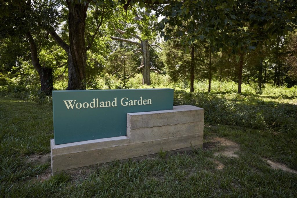 Woodland Garden