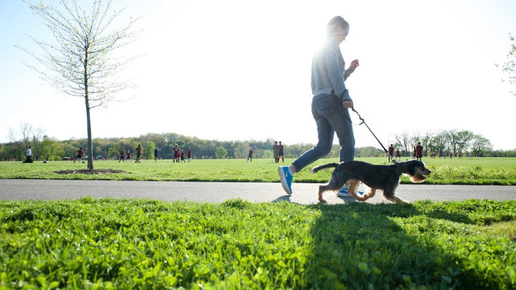A woman walks her dog