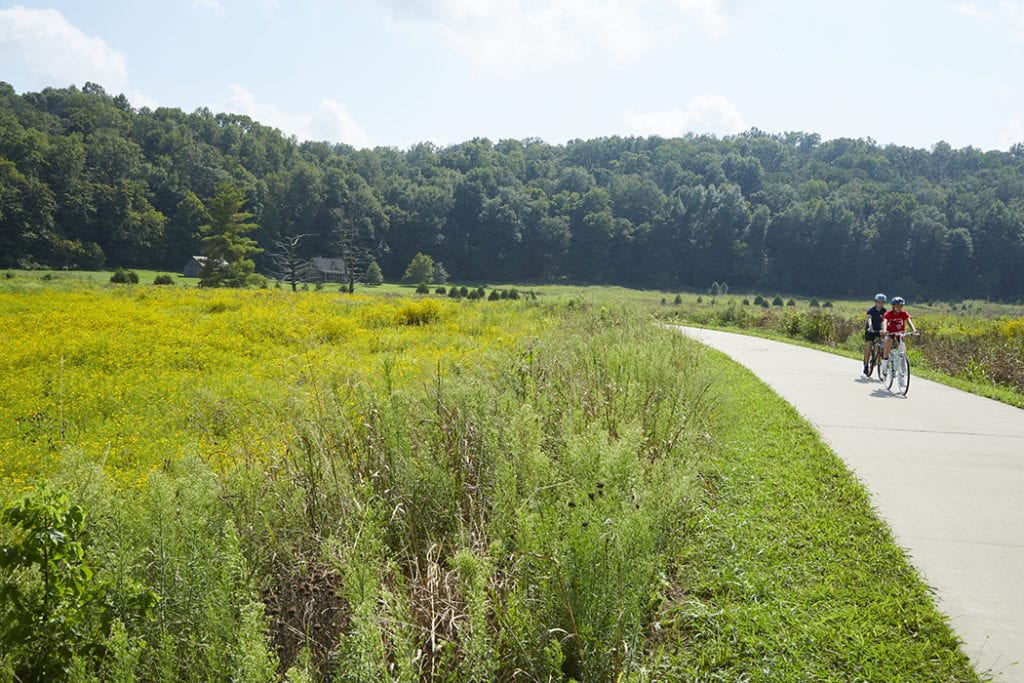 Seaton Valley Meadow Restoration The Parklands
