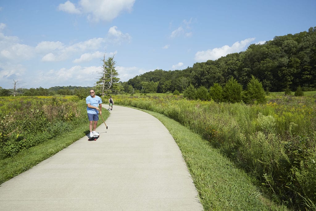 Seaton Valley Meadow Restoration The Parklands