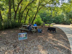 Forest Learning Lab