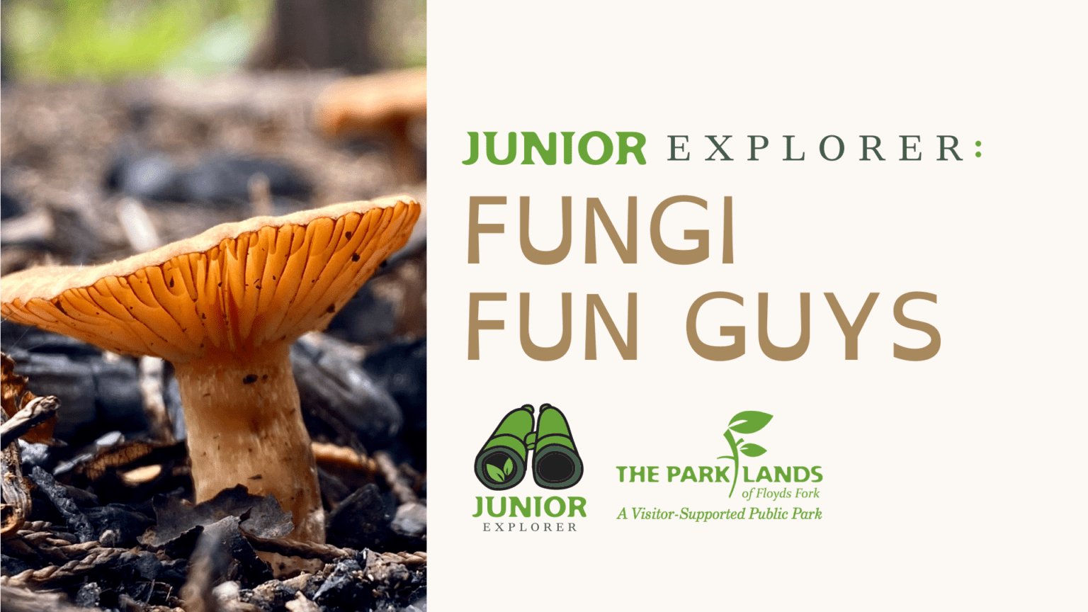 Turkey Run Park The Parklands of Floyds Fork